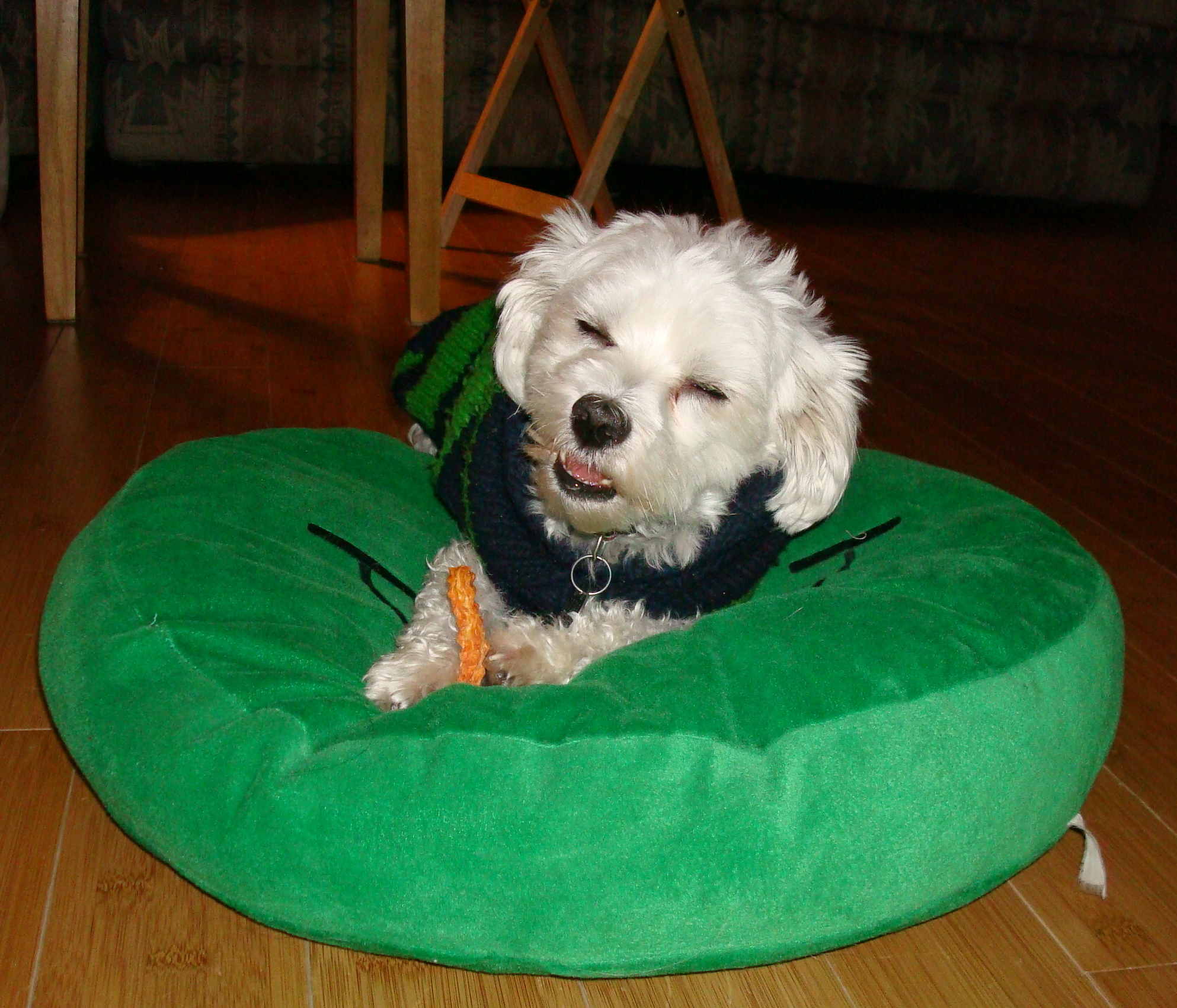 HarleysSamsYam-dec2010.JPG